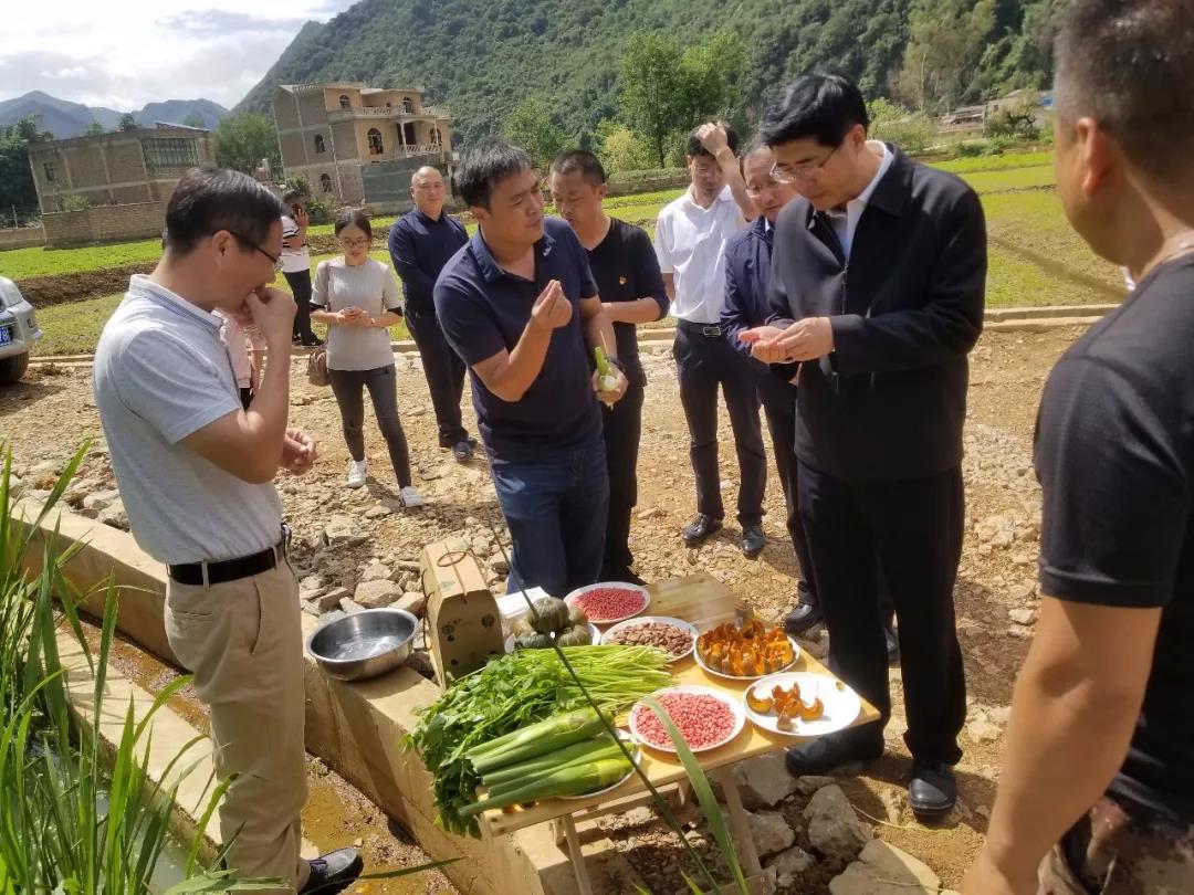 K8·凯发(中国)天生赢家·一触即发
